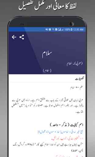 Offline Urdu Lughat – Urdu to Urdu Dictionary 3
