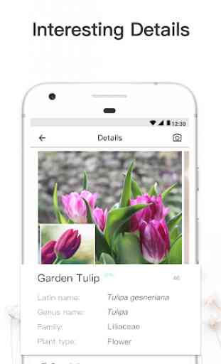 PictureThis: Identify Plant, Flower, Weed and More 3