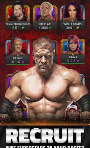 WWE Universe 1