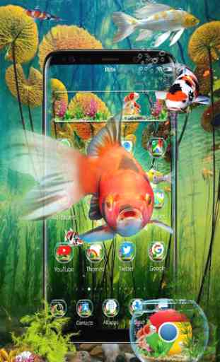 3D Aquarium Japaneses  Koi Fish 2