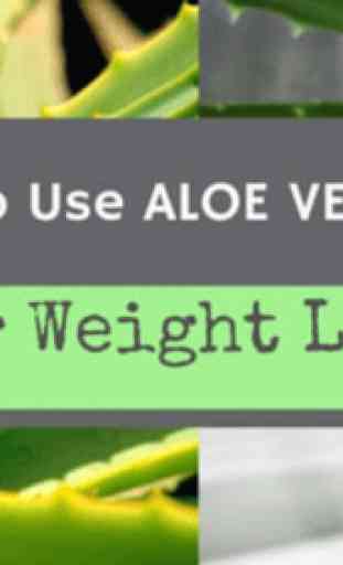Aloe Vera Benefits 3