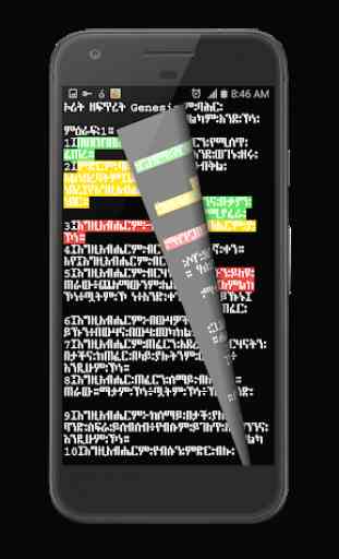 Amharic Orthodox Bible Flip 81 1