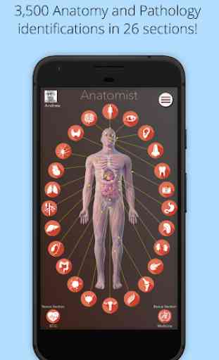 Anatomist - Anatomy Quiz Game 1