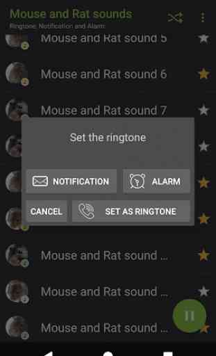 Appp.io - Mouse and Rat sounds 4