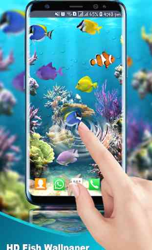 Aquarium Fish Live Wallpaper : Fish Backgrounds HD 2
