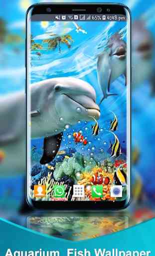 Aquarium Fish Live Wallpaper : Fish Backgrounds HD 3
