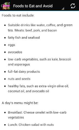 Atkins Diet for Beginners 2