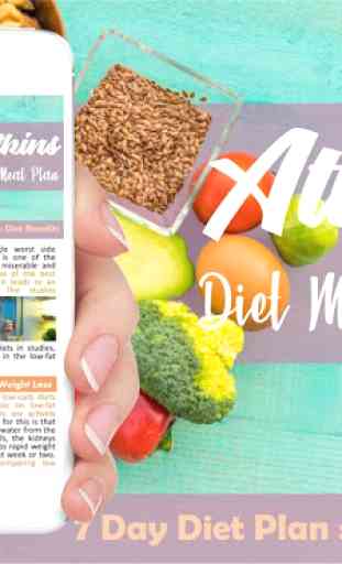 Atkins Diet Plan 1