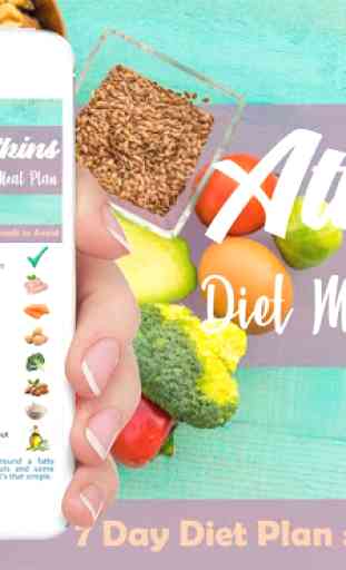 Atkins Diet Plan 2