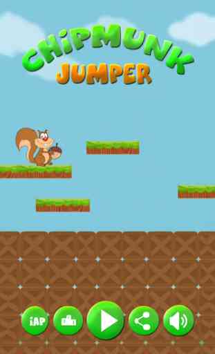 Chipmunk Jumper 1
