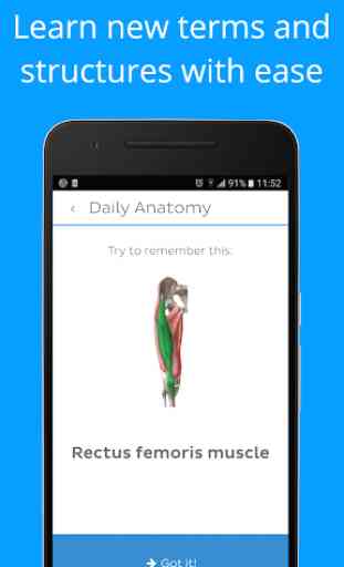 Daily Anatomy: Flashcard Quizzes to Learn Anatomy 2
