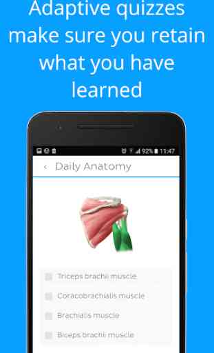 Daily Anatomy: Flashcard Quizzes to Learn Anatomy 3