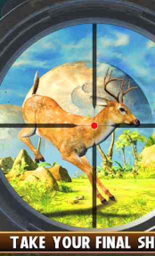 Deer Hunting 19 2