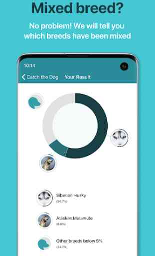 Dog Scanner - #1 Dog Breed Identification 2