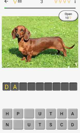 Dogs Quiz - Guess Popular Dog Breeds in the Photos 2
