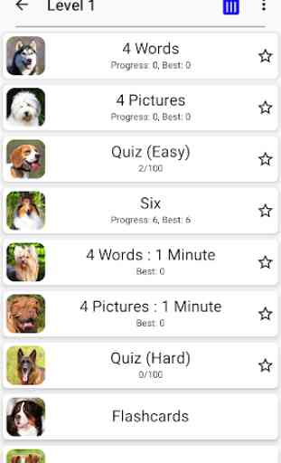 Dogs Quiz - Guess Popular Dog Breeds in the Photos 3