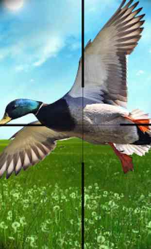 Duck hunting season 2020: Bird Shooting Games 3D 1