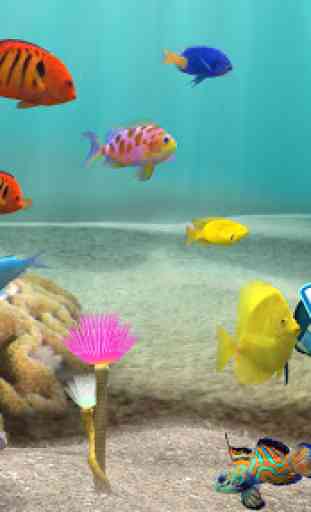 Fish Farm 3: 3D Aquarium Live Wallpaper 1