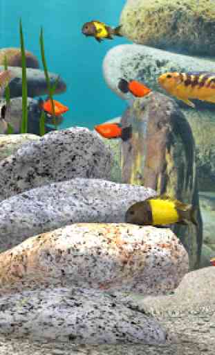 Fish Farm 3: 3D Aquarium Live Wallpaper 3