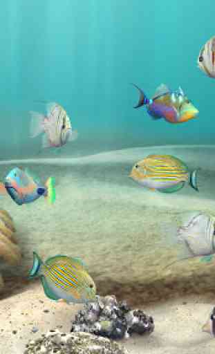 Fish Farm 3: 3D Aquarium Live Wallpaper 4