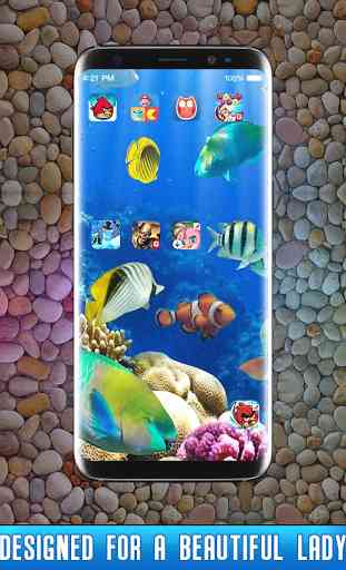 Fish Live Wallpaper 3D Aquarium Background HD 2019 2