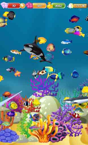 Fish Raising - My Aquarium 1