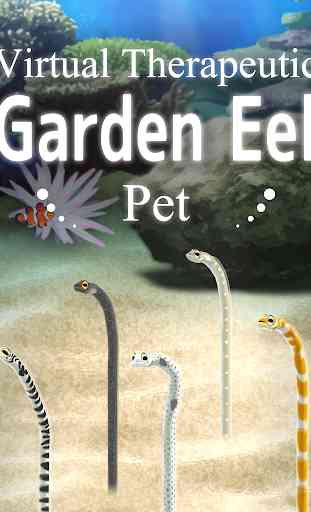 Garden Eel Pet 4