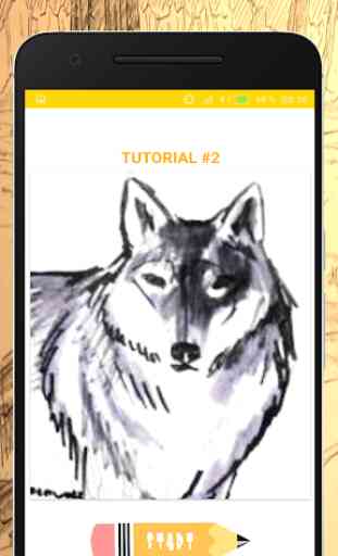 How to Draw Wolves - Easy Drawing Step by Step 2