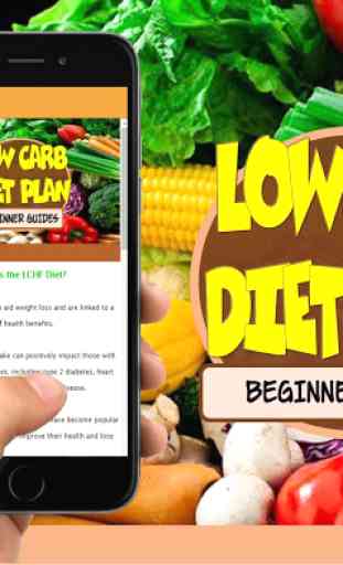 Low Carb Diet Plan Beginner 2