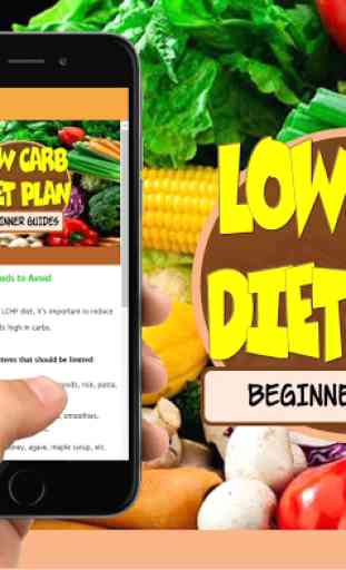 Low Carb Diet Plan Beginner 3