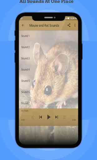 Mouse and Rat Sound 2