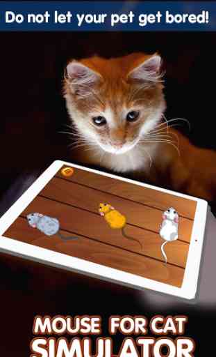 Mouse for Cat Simulator 2