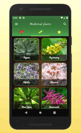 myRemedy: Medicinal plants and their uses 1