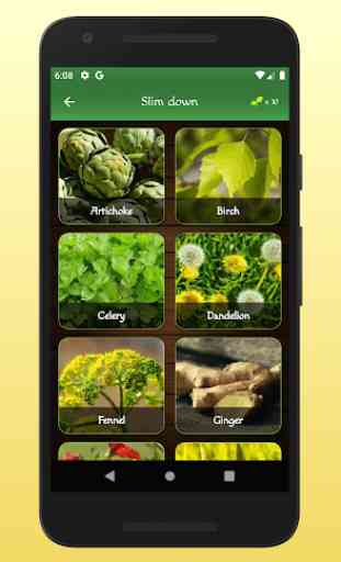 myRemedy: Medicinal plants and their uses 3