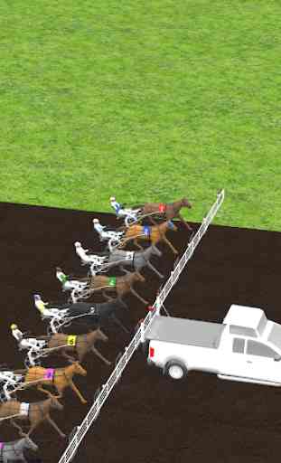 Off And Pacing: Horse Racing 1