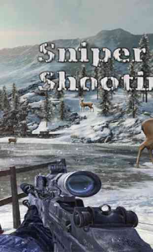 Sniper Animal Shooting 3D:Wild Animal Hunting Game 3