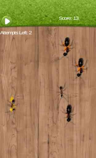 Tap Ant Smasher To kill Ants 2