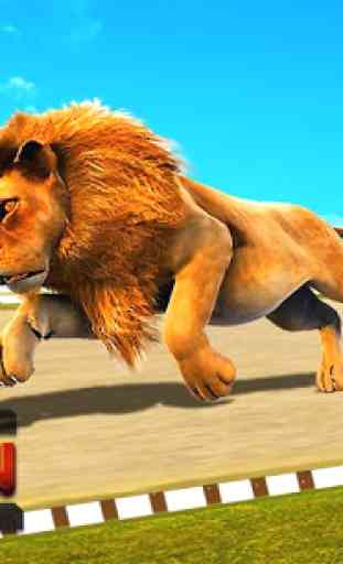 Wild Lion Racing Fever : Animal Race 1