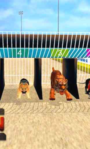 Wild Lion Racing Fever : Animal Race 2