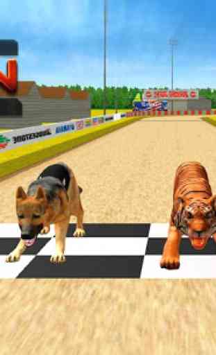 Wild Lion Racing Fever : Animal Race 3