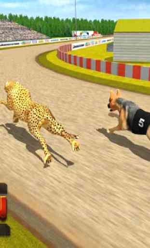 Wild Lion Racing Fever : Animal Race 4