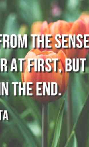 Bhagavad Gita Quotes 2