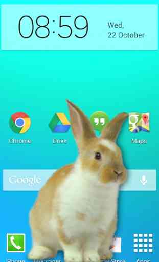 Bunny in Phone Cute joke 1