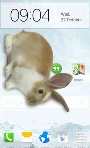 Bunny in Phone Cute joke 2