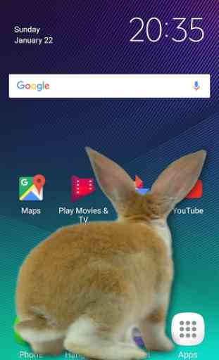 Bunny in Phone Cute joke 3