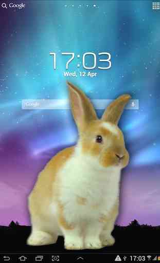 Bunny in Phone Cute joke 4