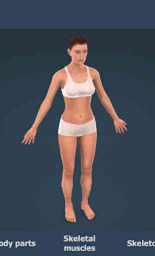 Human body (female) educational VR 3D 1