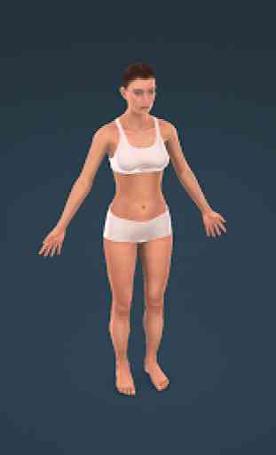 Human body (female) educational VR 3D 2