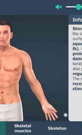 Human body (male) educational VR 3D 1