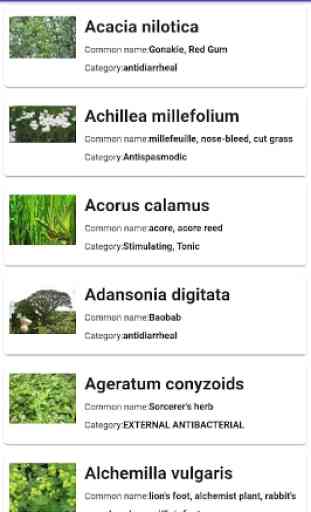 Medicinal plants 2